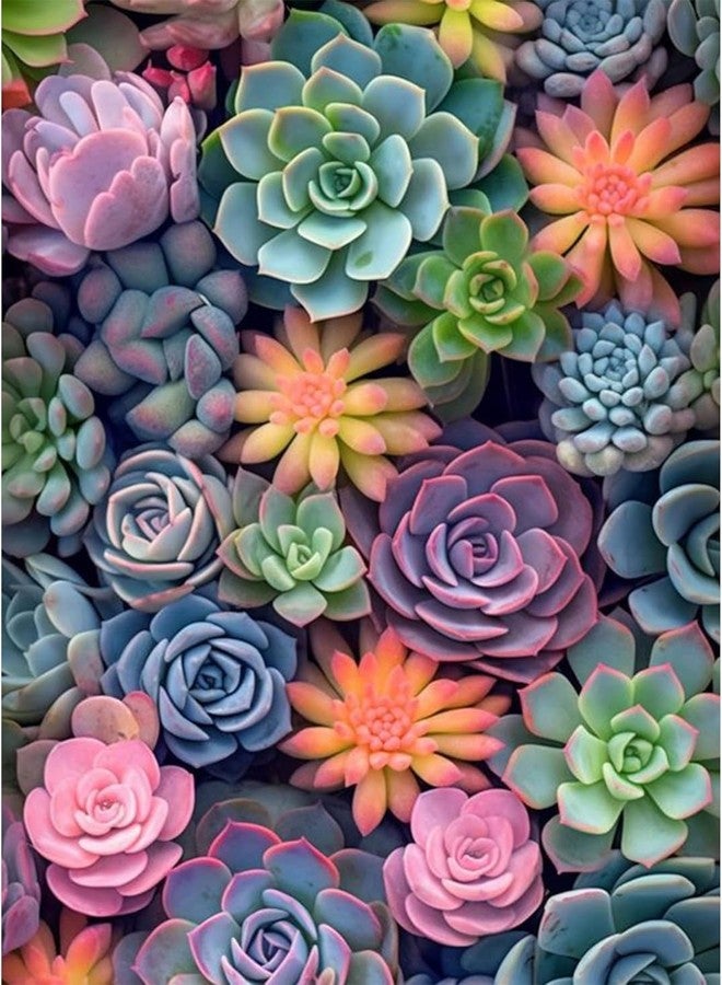 WICHARSH Succulent Diamond Painting for Adults-Succulent 5D Diamond Art Painting kit for Adults Beginners Full Drill Succulent Diamond for Gifts Wall Decor Gem Arts (30 x 40 cm) - Image 1